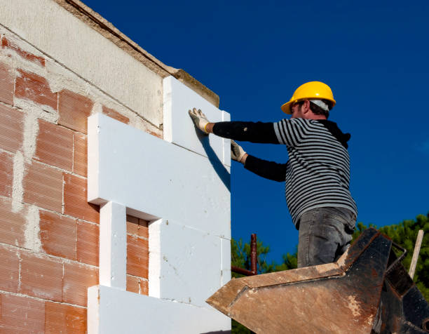 Best Insulation Maintenance and Repair in Elmer, NJ