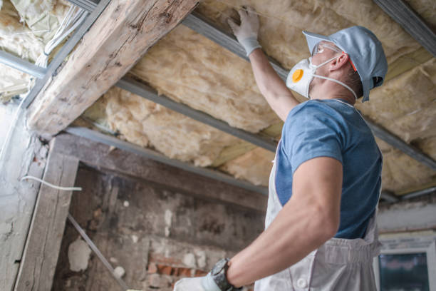 Best Commercial Insulation in Elmer, NJ