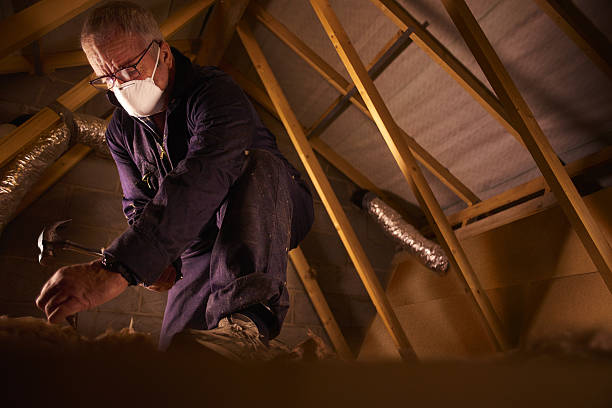 Professional Insulation Contractor in Elmer, NJ