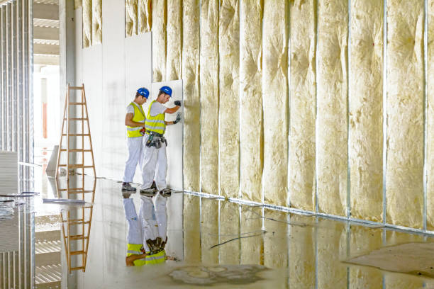 Best Geographic-Specific Insulation Services in Elmer, NJ